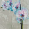 Blue And Pink Orchid Diamond Painting