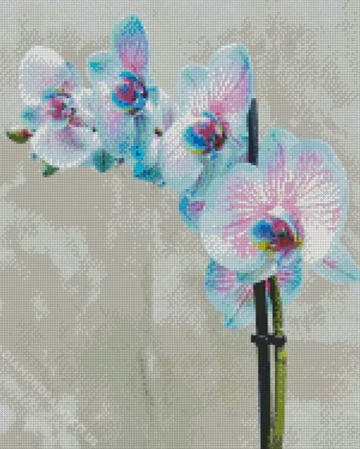 Blue And Pink Orchid Diamond Painting