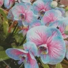 Blue And Pink Orchids Diamond Painting