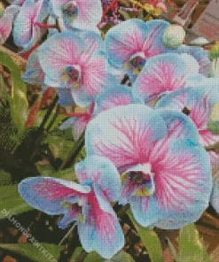 Blue And Pink Orchids Diamond Painting