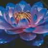 Blue And Purple Lotus Flower Diamond Painting