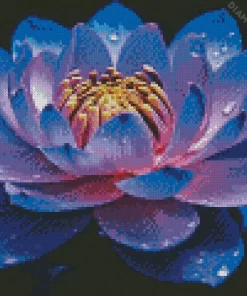 Blue And Purple Lotus Flower Diamond Painting