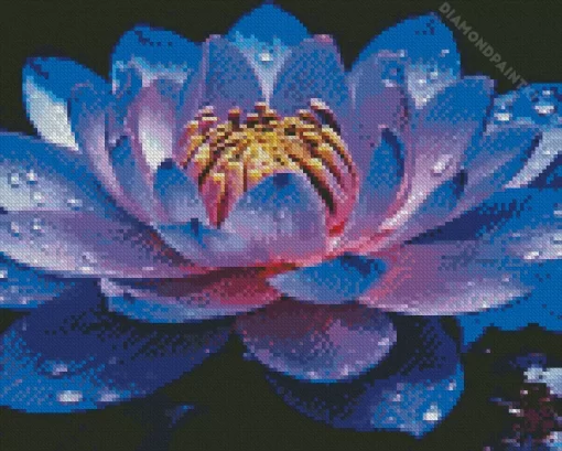 Blue And Purple Lotus Flower Diamond Painting