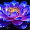 Blue And Purple Lotus Flower Diamond Painting