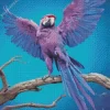 Blue And Purple Parrot Diamond Painting