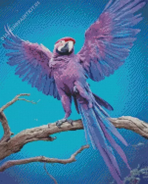 Blue And Purple Parrot Diamond Painting