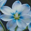 Blue And White Flower Diamond Painting