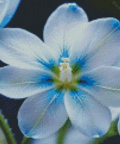 Blue And White Flower Diamond Painting