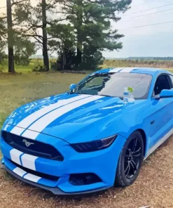 Blue And White Mustang Diamond Painting