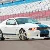 Blue And White Mustang Car Diamond Painting