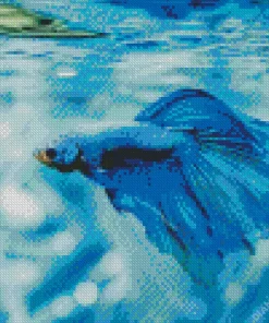 Blue Betta Fish Underwater Diamond Painting