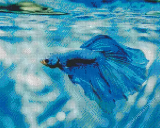 Blue Betta Fish Underwater Diamond Painting