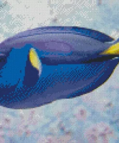 Blue Black And Yellow Fish Diamond Painting