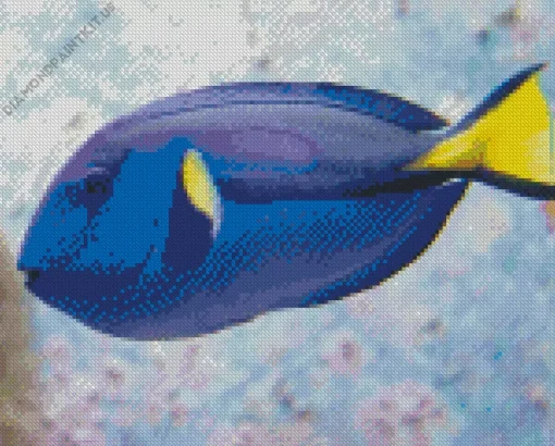 Blue Black And Yellow Fish Diamond Painting