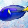 Blue Black And Yellow Fish Diamond Painting