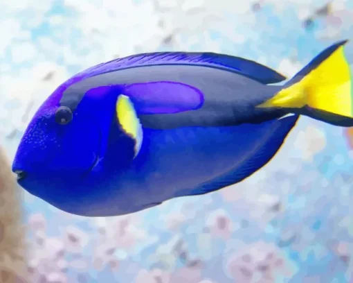 Blue Black And Yellow Fish Diamond Painting