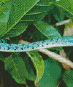 Blue Bush Snake Diamond Painting