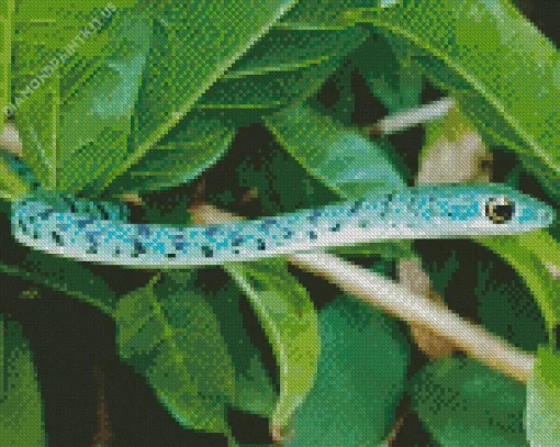 Blue Bush Snake Diamond Painting