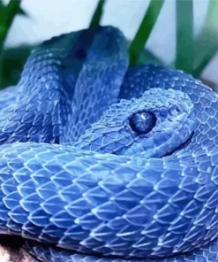 Blue Bush Viper Diamond Painting