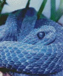 Blue Bush Viper Diamond Painting