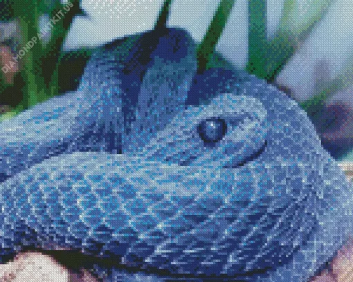 Blue Bush Viper Diamond Painting