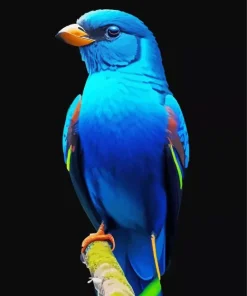 Blue Canary Bird Diamond Painting