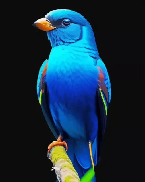 Blue Canary Bird Diamond Painting