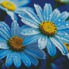 Blue Chamomile Flowers Diamond Painting