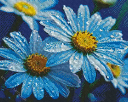 Blue Chamomile Flowers Diamond Painting