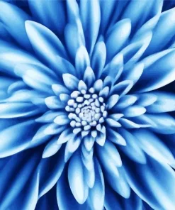 Blue Chrysanthemum Flower Diamond Painting