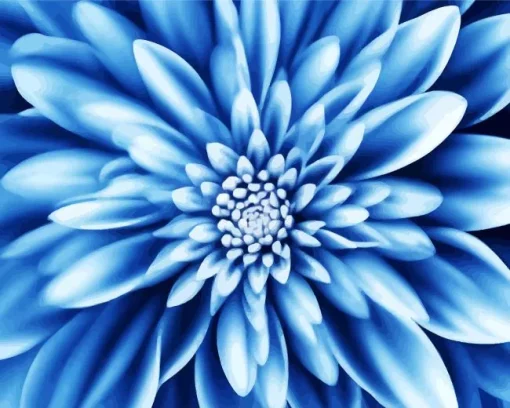 Blue Chrysanthemum Flower Diamond Painting