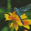 Blue Dragonfly On Sunflower Diamond Painting