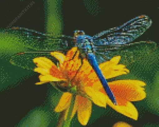 Blue Dragonfly On Sunflower Diamond Painting