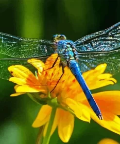 Blue Dragonfly On Sunflower Diamond Painting