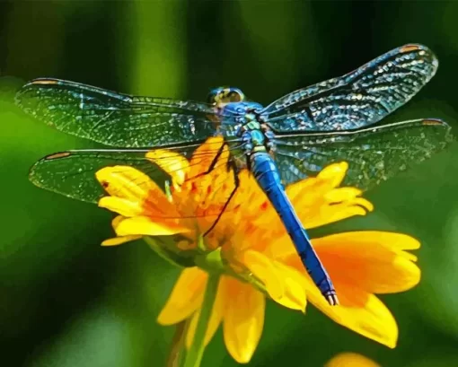 Blue Dragonfly On Sunflower Diamond Painting