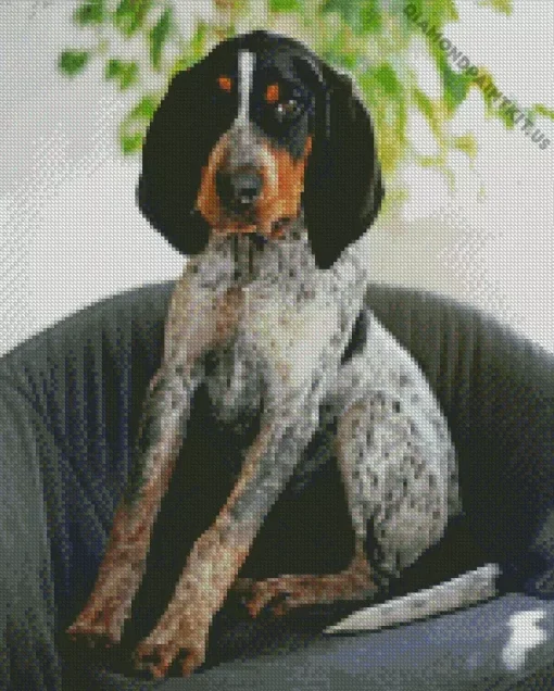 Blue English Coonhound Diamond Painting