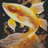 Cool Golden Koi Diamond Painting