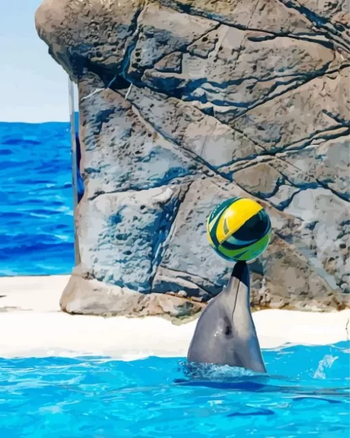 Dolphin Playing With Ball Diamond Painting