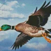 Duck Flying In The Sky Diamond Painting