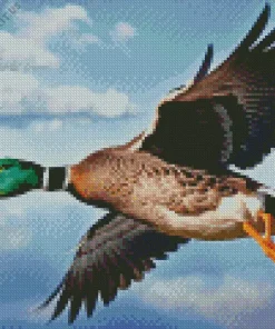 Duck Flying In The Sky Diamond Painting