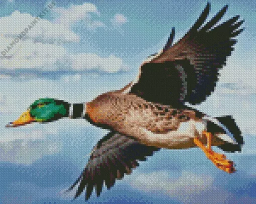 Duck Flying In The Sky Diamond Painting