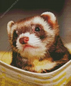 Ferret Diamond Painting