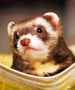 Ferret Diamond Painting