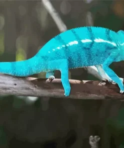 Panther Chameleon Diamond Painting