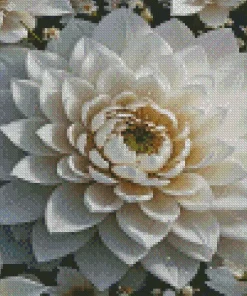 White Flower Diamond Painting