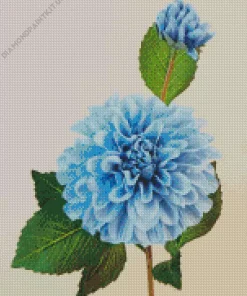 Light Blue Dahlia Diamond Painting