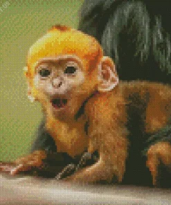 Baby Monkey Diamond Painting