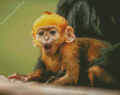 Baby Monkey Diamond Painting