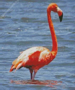 Big Pink Bird Diamond Painting