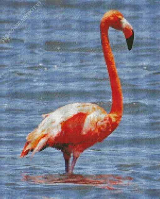 Big Pink Bird Diamond Painting